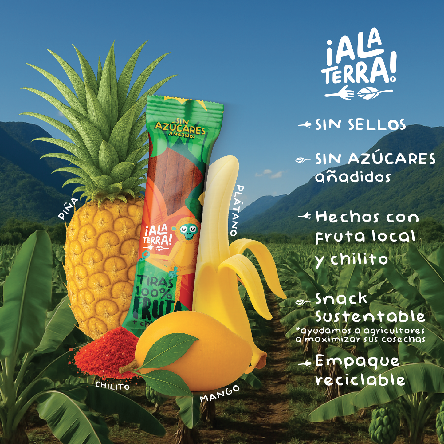 Tiras 100% Fruta de ¡Ala Terra! 18 piezas