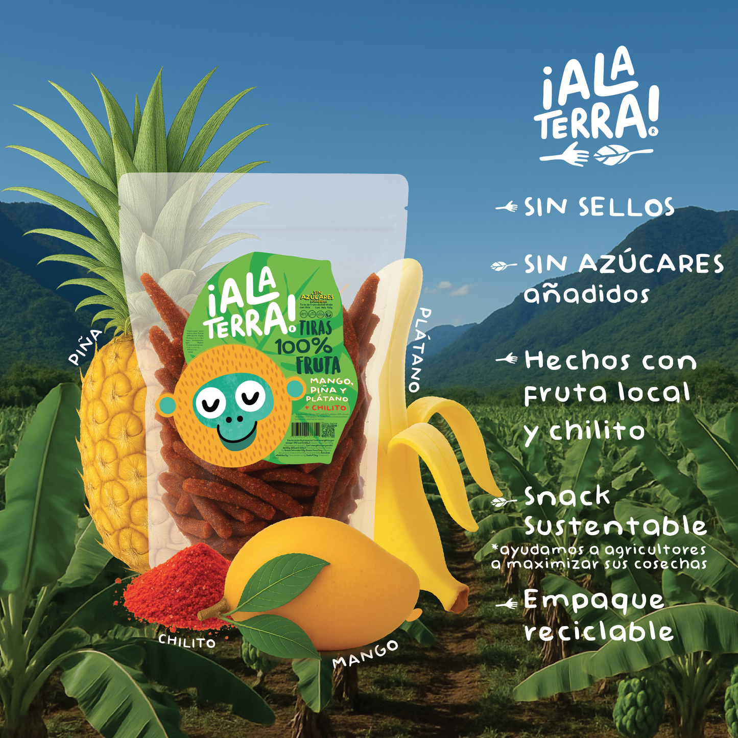Tiras 100% Fruta de ¡Ala Terra! 2 Bolsas de 430g (c/u)