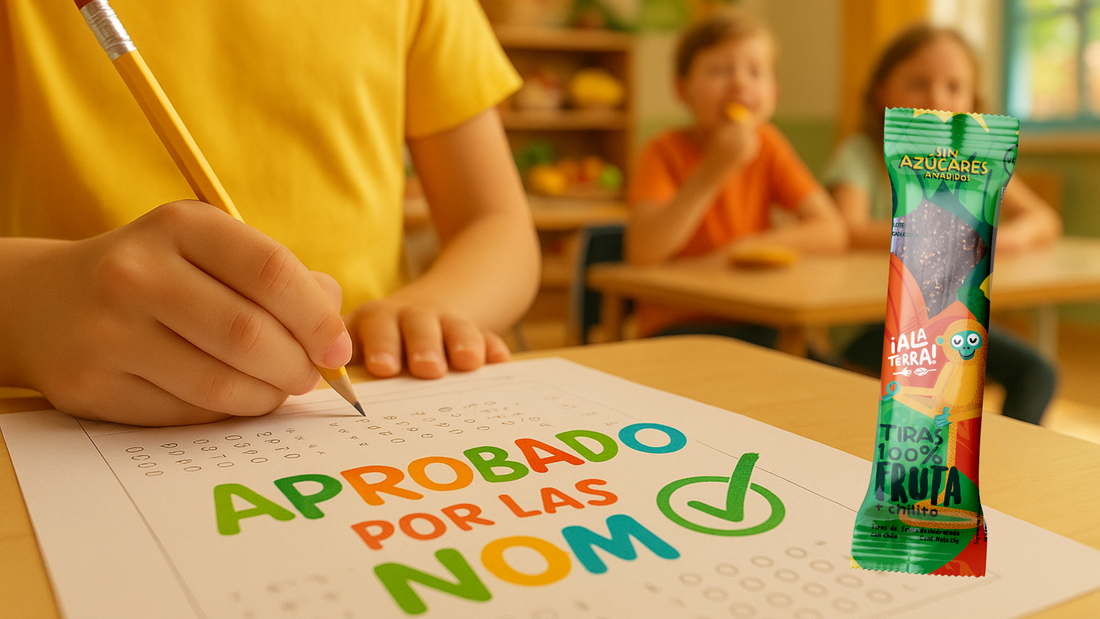 Botanas sin sellos para Tiendas Escolares: Una Revolución con Ala Terra Snacks Saludables