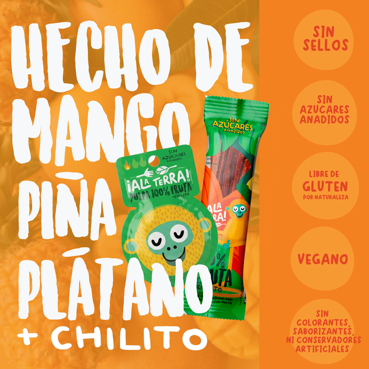 Paquete Explorador — 43 snacks ¡Ala Terra!